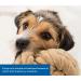 Buy TRIXIE 33561 Dog Activity Disc - Bite-Proof 19 cm Pack of 3 | Durable Dog Toys for Interactive Play - Buy Online on GoSupps.com