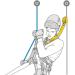 Petzl Axess Asap'Sorber Accessory for Climbing - Multicolor - Buy Online on GoSupps.com