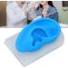 Soft Ear Model Safe Portable Flexible Ear Model Vivid Waterproof for Doctor for Hearing Amplifier Display - Buy Online on GoSupps.com