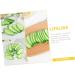 TOYANDONA 10pcs Simulation Cucumber Slice Simulation Green Cucumber Decorative Foam Fruit Realistic Fruit Fake Cheese Fake Cucumber Fake Pineapple Child Fake Vegetables Vegetable Slices Pvc - Buy Online on GoSupps.com