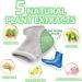 Plantar Fasciitis Treatment: Heel Pain Relief Protectors & Inserts - Achilles Tendonitis Support for Sore Feet - 2 Pairs - Buy Online on GoSupps.com