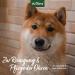 Aniforte Ear Cleaning Pads for Dogs & Cats | 100 Soft & Mild Towels for Gentle Ear Hygiene - Buy Online on GoSupps.com
