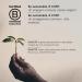 illy Cold Brew Coffee 250ml x 12 Black - Ready to Drink, No Added Sugar, Classico - Iced Coffee - Buy Online on GoSupps.com