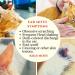 Petglow Organic Herbal Ear Mite Treatment Drops for Cats - Ear Infection Cleaner for Mites - Buy Online on GoSupps.com