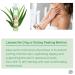 jNE California Grown Aloe Vera Soothing Gel Water | 4.23 Fl oz | 95% Pure | All-in-One for Face Body Hand Hair | Korean Skin Care - Buy Online on GoSupps.com