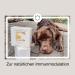 Canimove Immune Maxi - EPA70 + Tragant + Enovita OPC for Dogs | 100 Capsules - Immune Support Supplement - Buy Online on GoSupps.com