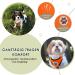 Buy Slowton XS Dog Harness with Seat Belt Breathable & Safe Car Gear for Dogs | 2 Carabiner Hooks | Orange Color - Buy Online on GoSupps.com