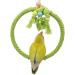 Congguan Bird Swing - Cotton Rope Ring for Budgies & Nymphicus | Bite-Resistant Hanging Toys - Buy Online on GoSupps.com