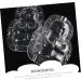 Operitacx 2pcs Vegetable Shaping Vegetables Ginseng Fruit Molds Garden Supply Watermelon Computer Transparent 10x7cm - Buy Online on GoSupps.com