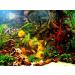 TM Aquatix Aquarium Wood Decoration Premium Pieces 100% Natural (40-50cm Mopani) - Buy Online on GoSupps.com