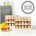 GLEAVI Flip The Egg Tray Eggs Deviled Egg Holder Clear Plastic Tray Household Egg Storage Rack Egg Rack Dog - Buy Online on GoSupps.com