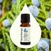 Plant Therapy Organic Juniper Berry Essential Oil 100% Pure Undiluted Natural Aromatherapy Therapeutic Grade 10 mL (1/3 oz) - Buy Online on GoSupps.com