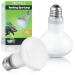 LUCKY HERP 2 Pack 100W UVA Reptile Heat Lamp Bulb Amphibian Basking Spot Light Bulb Reptile Daylight Bulb for Turtle Bearded Dragon Lizard Heating Use 100W(2 Pack)