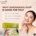 CA MIA 100% Handmade Organic Lemongrass Soap | Chemical-Free Natural Bath Soap | Detoxifies & Clarifies Skin | 125g - Buy Online on GoSupps.com