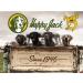 Happy Jack Sarcoptic Mange Medicine - 8 oz - Buy Online on GoSupps.com