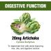 Natural Liver Support & Detox Supplements with Milk Thistle, Artichoke & Turmeric - Healthy Liver Function & Repair - Vegetarian Capsules - 30 Day Supply - Buy Online on GoSupps.com