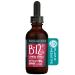 Freshfield B12 Complex Drops Vitamin B Complex Vegan Friendly: 1200 mcg of B12 Methylcobalamin | Liquid for Best Absorption | Blend of 5 B Vitamins | Supports Energy Mood and Heart Health