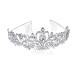 Didder Silver Crystal Tiara Crown for Women - Elegant Princess Bridal Wedding Prom Costume Accessory - Buy Online on GoSupps.com