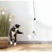 LEKEWPET Retractable Cat Feather Toys - 8PCS Replacement Feathers with Bell | Interactive Door Hanging Teaser for Indoor Cats | Kitten Play Pompom & Feather Teasers with Catnip Mouse - Buy Online on GoSupps.com