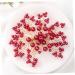 DOITOOL 1pc Wedding Headpiece for Bride Goody Hair Clips for Women Floral Hair Clip Flower Hair Clips for Women Headwear for Women Womens Hair Clips Pearl Hair Pin Tiara Comb Red Korean - Buy Online on GoSupps.com