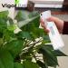 VIGOR PATH Continuous Spray Nano Fine Mist Hair Spray Bottle - Empty & Reusable Beauty/Cleaning Solution - 5oz/150ml - Buy Online on GoSupps.com