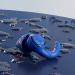 Swimming Ear Plugs - Soft Silicone Waterproof Earplugs for Swimming Surfing & Snorkeling (Dark Blue) | International Shipping Available - Buy Online on GoSupps.com