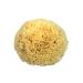 Natural sponge bath sponge Kosmetex from the Mediterranean in various sizes 12 cm