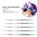 5 Nail Art Brushes with Double Ended Detail Drawing Fine Tip Dotting Pens for Home DIY Salon Manicure Nail Art Design Tools - Buy Online on GoSupps.com