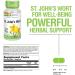 Solaray St Johns Wort 325mg | Mood & Brain Health Support | Non-GMO Vegan | Lab Verified | 100 Count - Buy Online on GoSupps.com