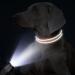 Buy Tagme Personalized Reflective Dog Collar for Small Dogs - Embroidered with Pet Name & Phone Number Orange XS (1 Pack) - Perfect for Safety & Style - Buy Online on GoSupps.com