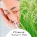 Buy 100% Natural Waterproof Makeup Remover & Rice Oil | 500ml Facial Cleanser & Effective Treatment for Stretch Marks - Buy Online on GoSupps.com