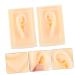 minkissy 1pair Simulation Ear Model Realistic Soft Silicone Teaching Tool for Ear Anatomy Presentation for Students and Professionals and Reusable Design for Educational Purposes 9.5X6.5X4.5CM As Shown - Buy Online on GoSupps.com