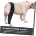 BELLIFFY Dog Foreleg Brace Puppy Knee Braces Dog Acl Brace Hind Leg Paws Pet Mesh Fabric Large Dog Elbow Pads S As Shown - Buy Online on GoSupps.com