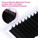 Self-Fan Eyelash Extensions 0.07mm DD Curl 16mm - Easy Volume Lashes | International Shipping - Buy Online on GoSupps.com