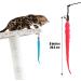 Molain Interactive Cat Toys - 12 Colorful Fabric Ribbons for Kitten Training & Interior Play | Premium Pet Accessories - Buy Online on GoSupps.com