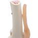 Opaeroo Life Size Anatomical Medical Knee Joint Model with Ligaments - Perfect for Education & Anatomy Studies - Buy Online on GoSupps.com