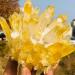 Yellow Tibetan Quartz Crystal Cluster Specimen (Size : 500-550g) - Buy Online on GoSupps.com