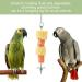 JTKREW 2 Pack Stainless Steel Bird Skewers for Parrots | Fruit & Vegetable Holders | Foraging Toys - Buy Online on GoSupps.com