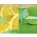 Cuccio Butter Babies - White Limetta & Aloe Vera - 6 Pack | Moisturizing Body Butter | Luxury Skincare - 42g / 1.5oz Each - International Shipping - Buy Online on GoSupps.com