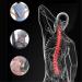 Buy ZXCV Back Massage Device - Magic Stretcher for Fitness & Lordosis Support | Spine Pain Relief & Corrector | Blue Stretch Equipment - Buy Online on GoSupps.com