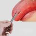 WILsem Tongue Scraper Cleaner - Fresh Breath & Bad Breath Elimination | Buy Internationally - Buy Online on GoSupps.com
