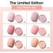 Gellen Nail Polish Set - 6 Nude Pink Color Gel Nail Polish Quick Dry Nail Polish Air Dry Nail Polish Nail Art Designs DIY Home Gel Manicure Set Ballerina Slippers - Buy Online on GoSupps.com