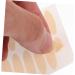 Beavorty 240 Pcs Lace Double Eyelid Sticker Clear Wallet Mesh Tape Double Eyelid Tape No Trace Man Supplies - Buy Online on GoSupps.com