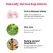 COSNORI W. Dress Tone-up Cream | Instant Skin Toning Hydration & Sebum Control | Vegan & Cruelty-Free | 1.69 oz - Buy Online on GoSupps.com