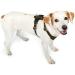 HUNTER Aalborg Leather Dog Harness - Olive Green ML/2 | Premium International Shipping - Buy Online on GoSupps.com