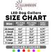 Illumiseen LED Dog Collar USB Rechargeable - Neon Green Large (L) 19-24 - High Visibility Light for Night Walking - Buy Online on GoSupps.com