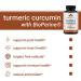 Premium Turmeric Curcumin with Black Pepper - 1950mg Per Serving - 95% Curcuminoids - BioPerine for Max Absorption - Made in USA - Buy Online on GoSupps.com