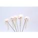 Mohan Spring Mouse Cat Toy | Interactive Teaser for Indoor Kittens | Self-Play Fun - Buy Online on GoSupps.com