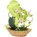 TOPBATHY 3pcs Rn Gift Phalaenopsis Home Accents Decor The Gift Home Forniture Decor Artificial Flower Bonsai Decor for Home Office Decor Garden Simulated Plant Double Fork Fake Orchid Greenx3pcs 27*17.5cmx3pcs - Buy Online on GoSupps.com