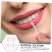 minkissy 2 Sets Lip Gloss Brush Lip Scrubber Brush Make up Applicators for Face Women Makeup Brush Cosmetics Brush Lip Gloss Wands Eyeshadow Brush Silica Gel Pink Miss Lipstick Brush Mini - Buy Online on GoSupps.com